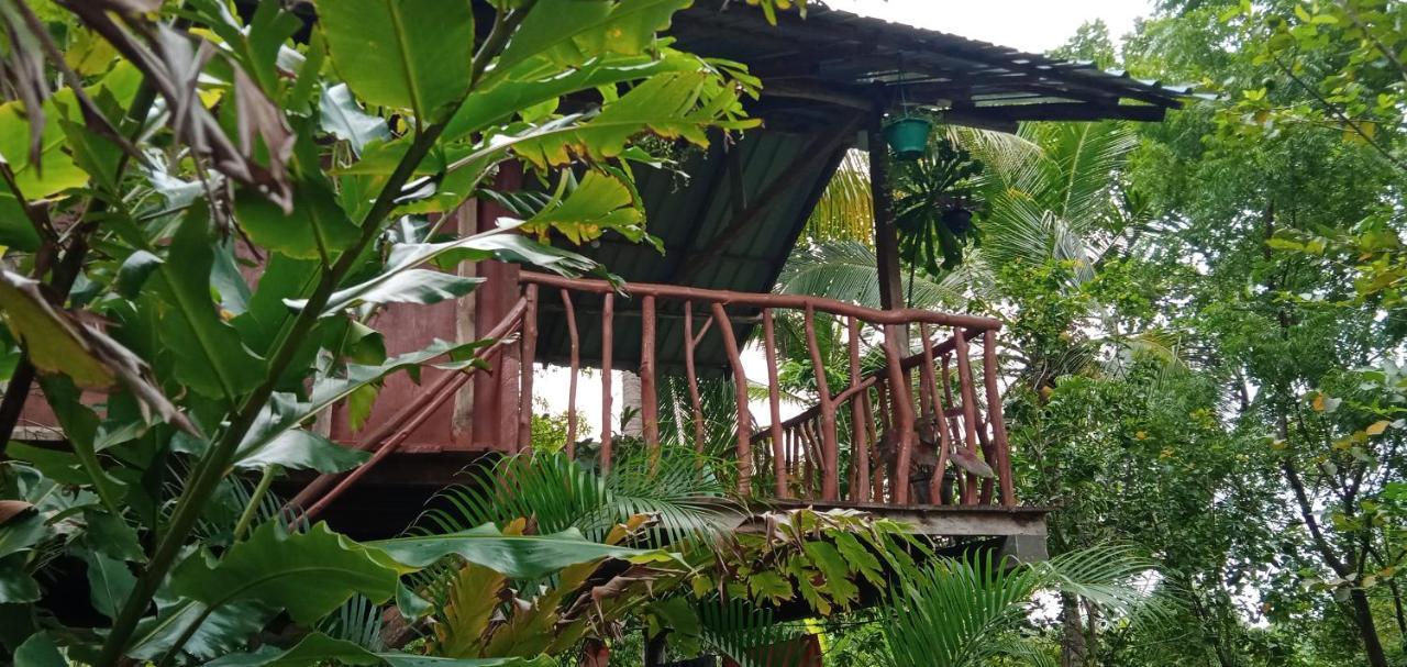 Villa Sigiri Panaromic Tree House à Sigirîya Extérieur photo