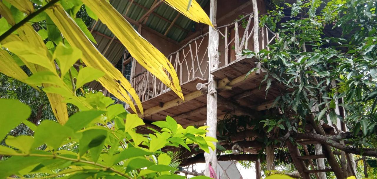 Villa Sigiri Panaromic Tree House à Sigirîya Extérieur photo