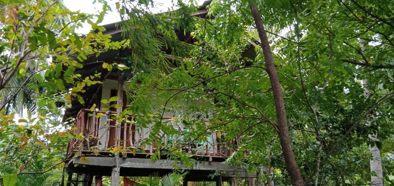 Villa Sigiri Panaromic Tree House à Sigirîya Extérieur photo